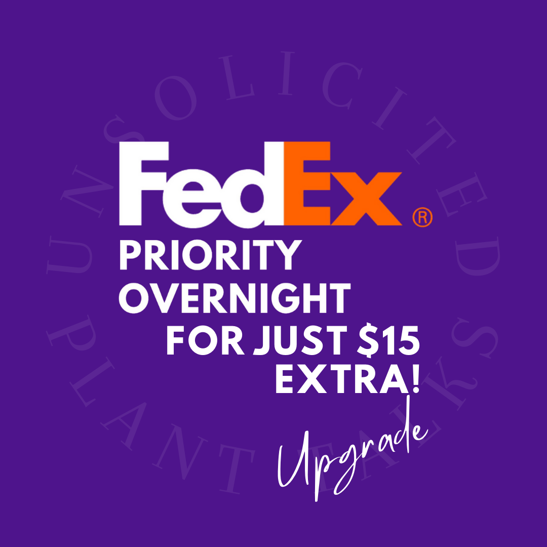 Upgrade to FedEx Priority Overnight for just $15 extra!