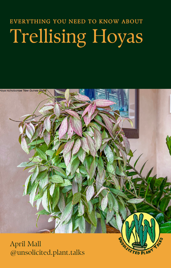 Mastering the Art of Trellising Hoyas: Your Complete Guide - eBook