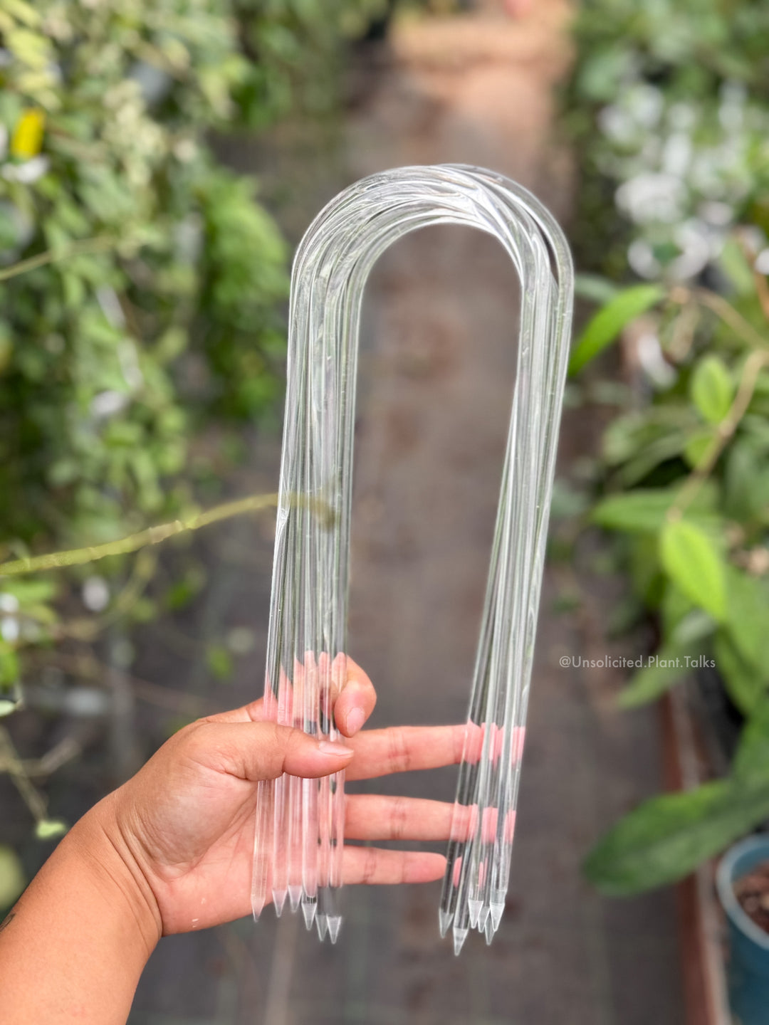 clear plant trellis 12in Acrylic U-Trellis (pack of 10) – Unsolicited Plant Talks