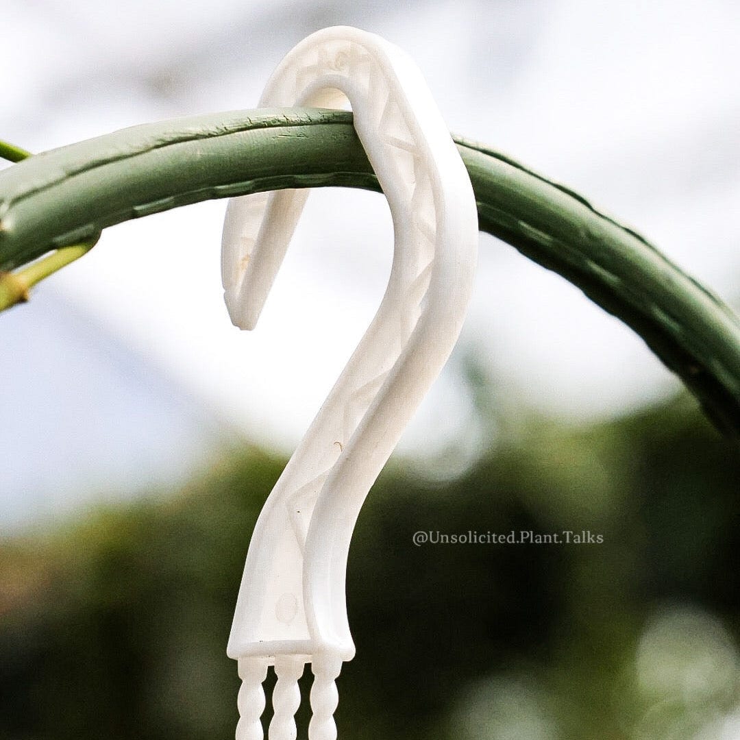 small hanging pot (pack of 20)