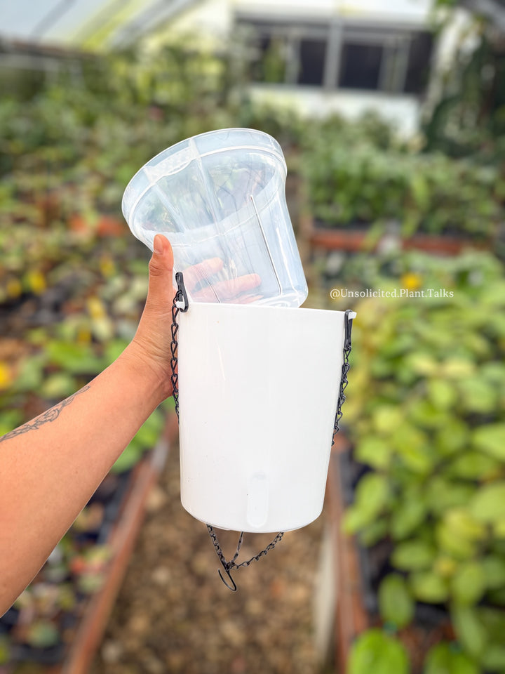 5in Hanging Self Watering Pots