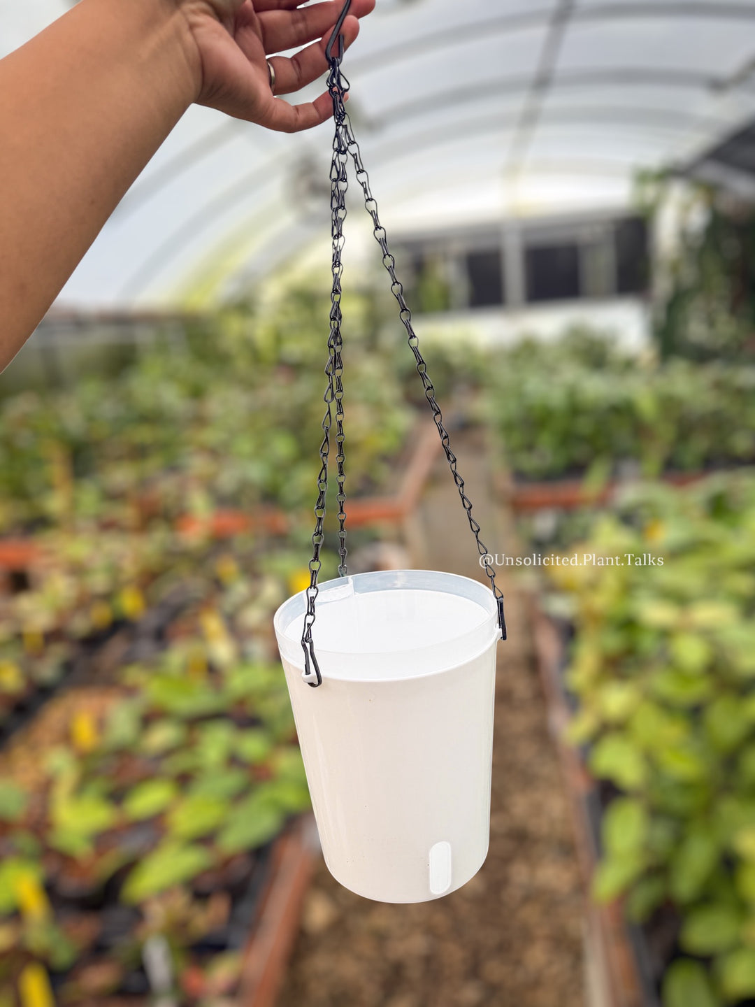 self watering hanging plant pot 5in Hanging Self Watering Pots