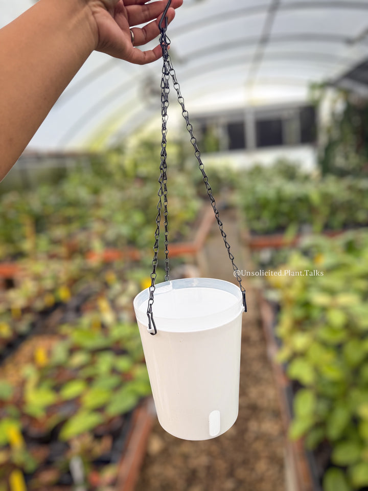 5in Hanging Self Watering Pots