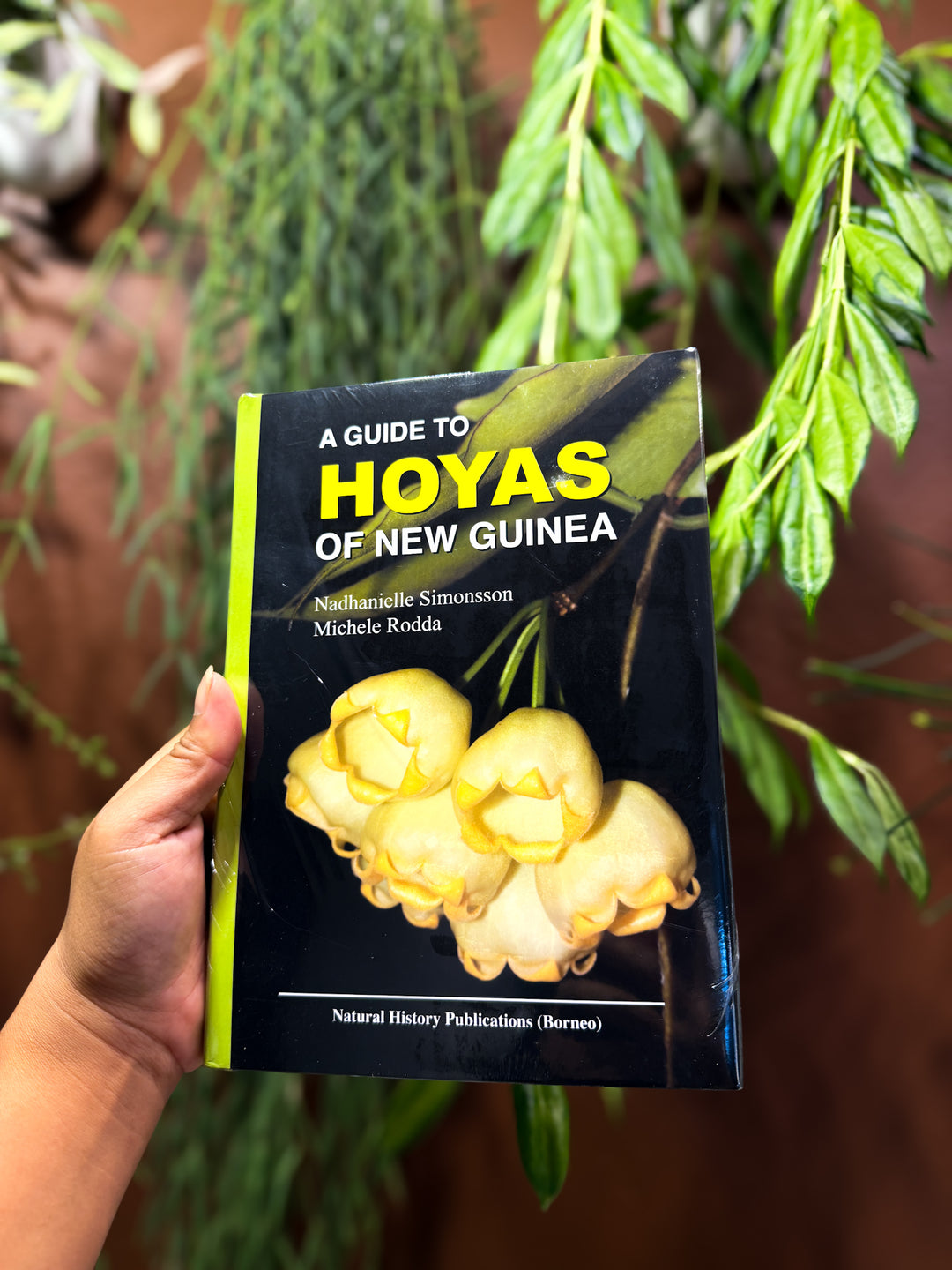 PREORDER: A Guide to Hoya of New Guinea