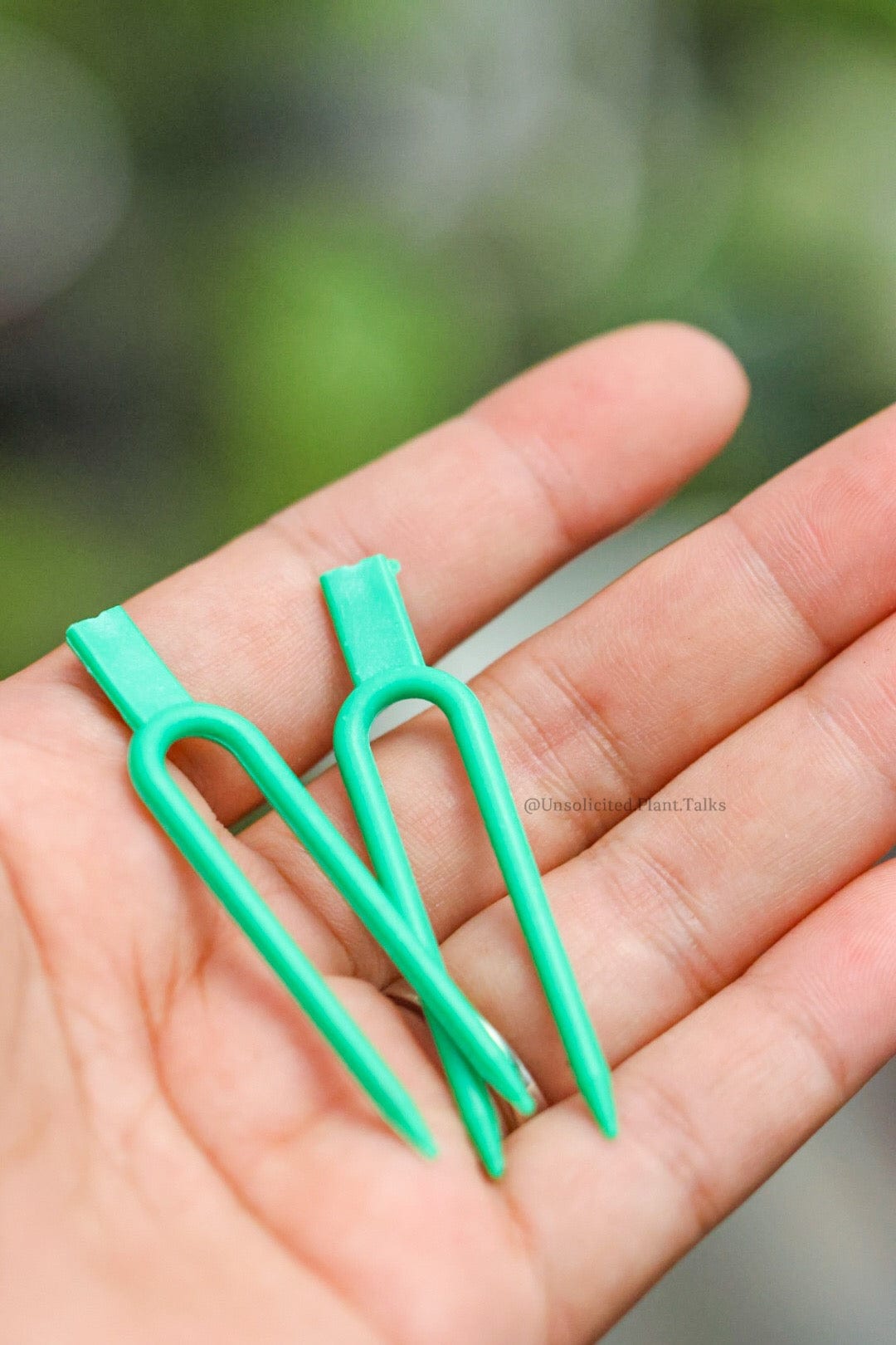 plastic plant propagators Propagation Pins (FREE SHIPPING) – Unsolicited Plant Talks