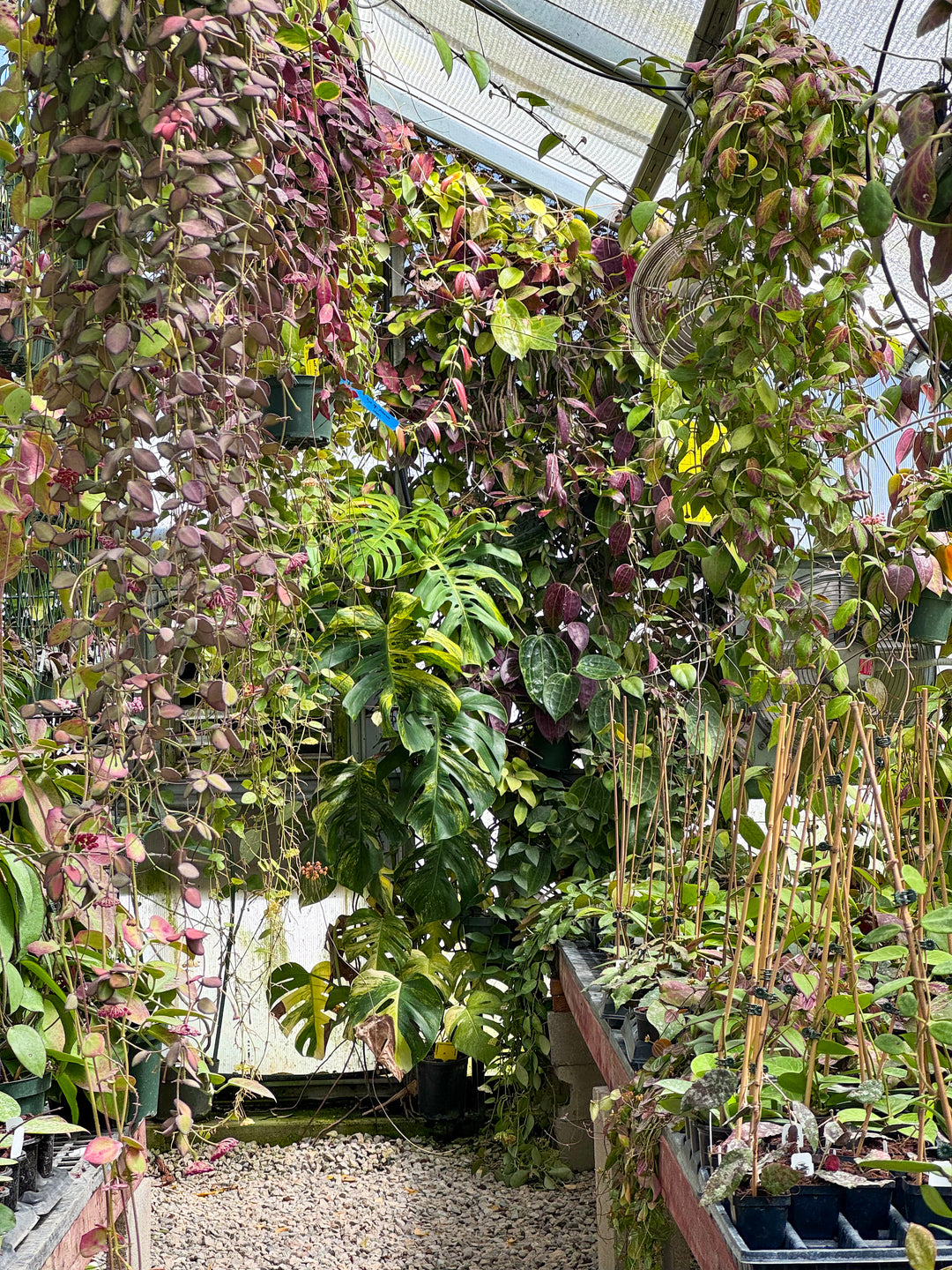 Greenhouse Appointment - YUCAIPA, CA