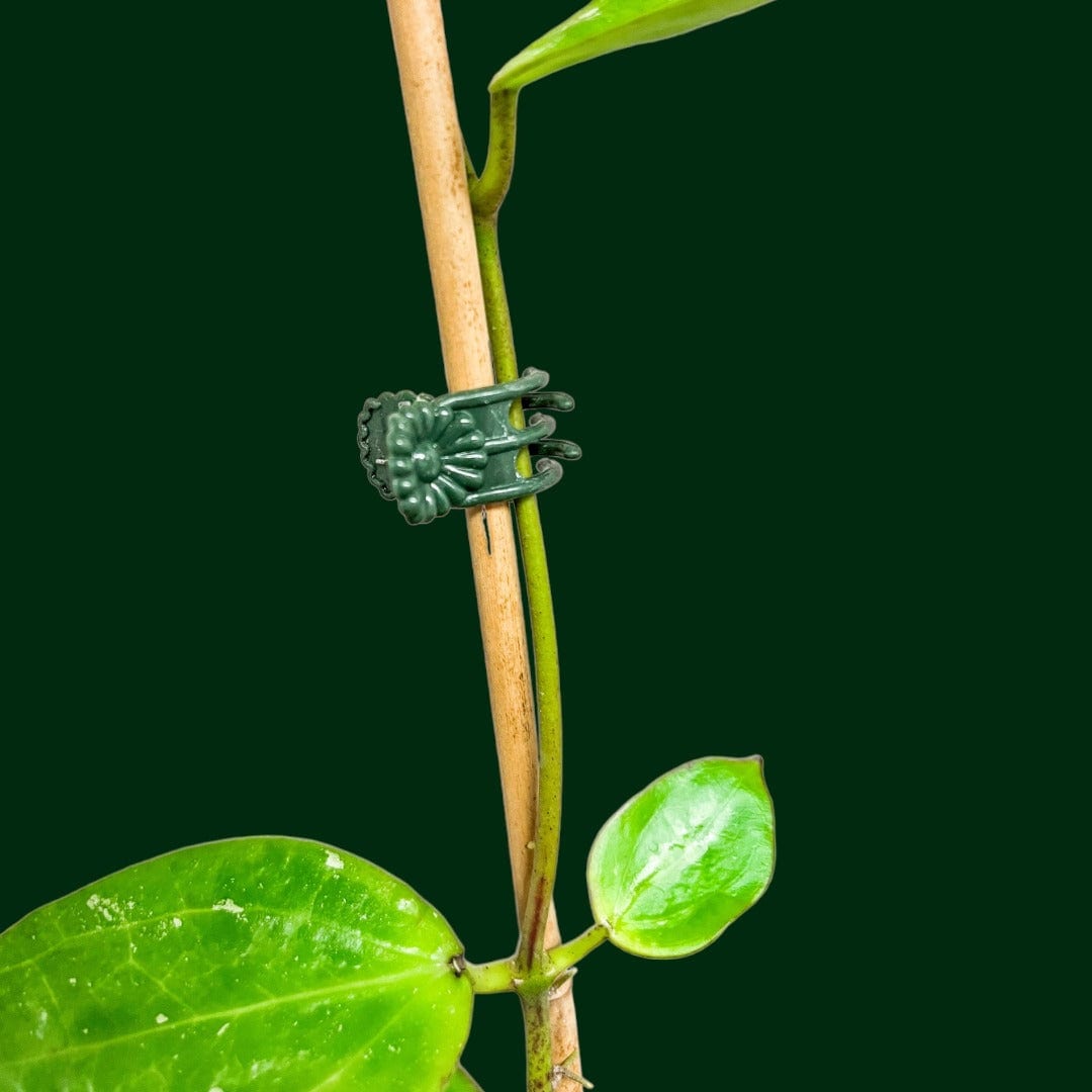 Plant Clips (200pcs)